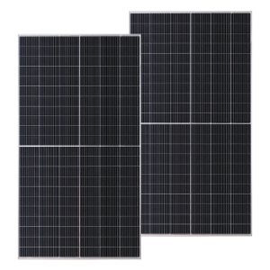 BLDC-675W Bifacial Perc
